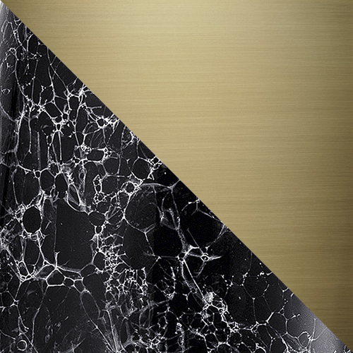 Black Marble (BLACK MARBLE) with Satin Brass