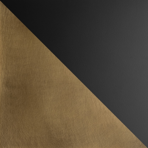 Aged Brass with Satin Black