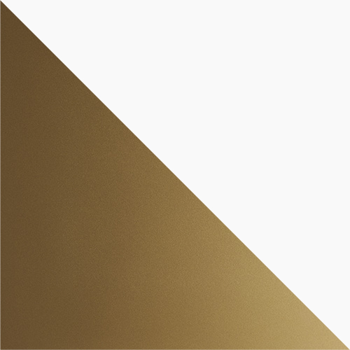Champagne Gold with Gloss White (CHG/WHT)